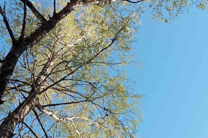 サラエボ徒歩ツアーを発見する