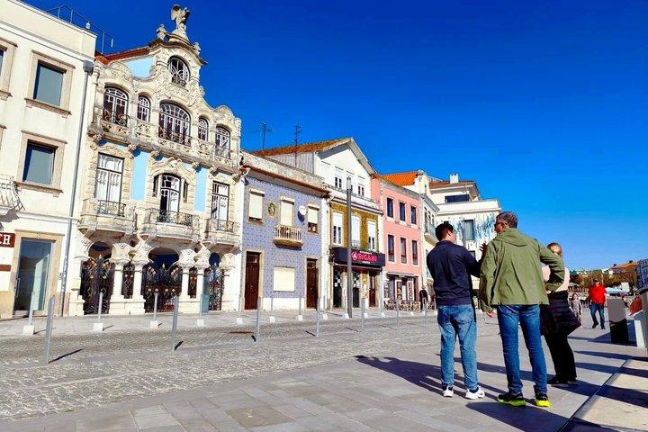 Aveiro Half-Day Small Group Tour from Porto