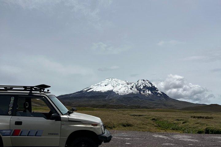 Antisana Volcano Condor Birdwatching Private Experience