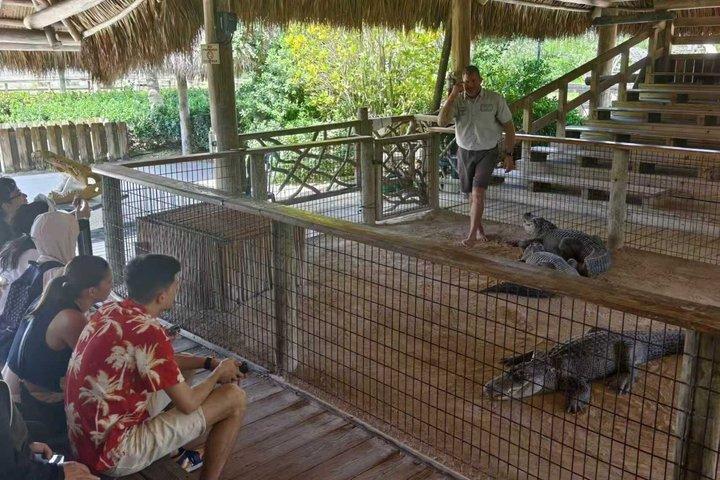 マイアミ・エバーグレーズ国立公園半日小グループツアー
