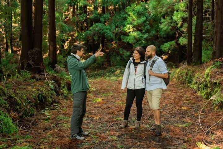 Excursão lenta de um dia inteiro à Ilha Terceira com Guia Local