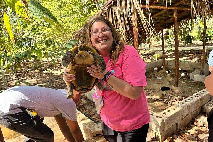 Monkeys and City Center(Puerto Plata)