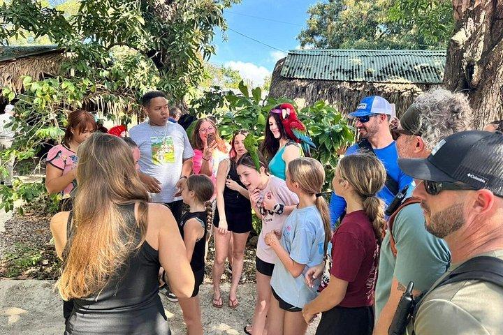 Monkeys and City Center(Puerto Plata)