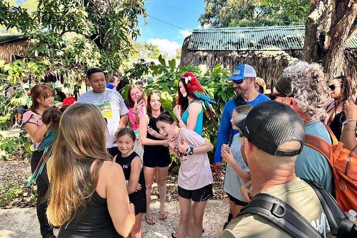 Monkeys and City Center(Puerto Plata)