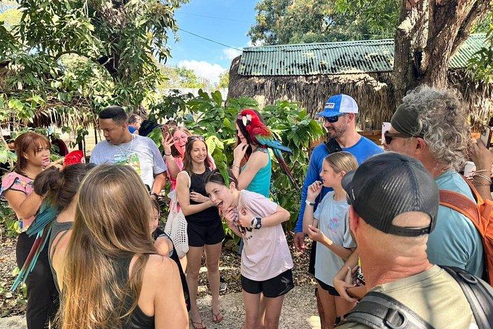 Monkeys and City Center(Puerto Plata)