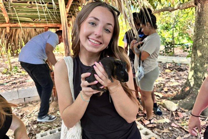 Monkey Tour og historiske centrum (Puerto Plata)