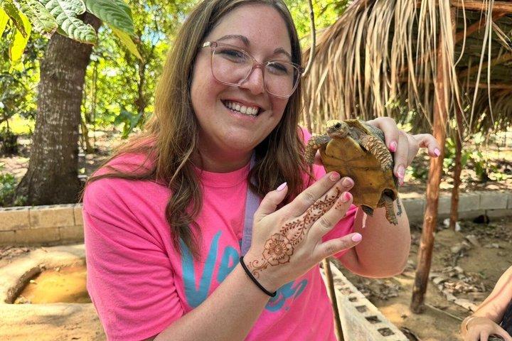 Monkeys and City Center(Puerto Plata)