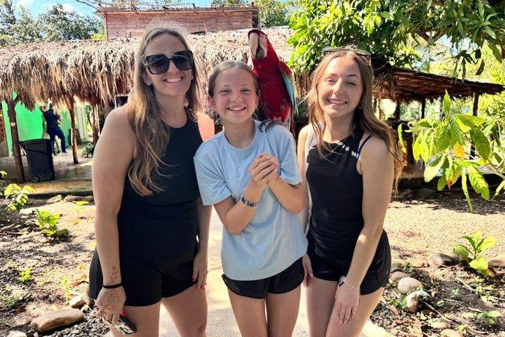 Monkeys and City Center(Puerto Plata)