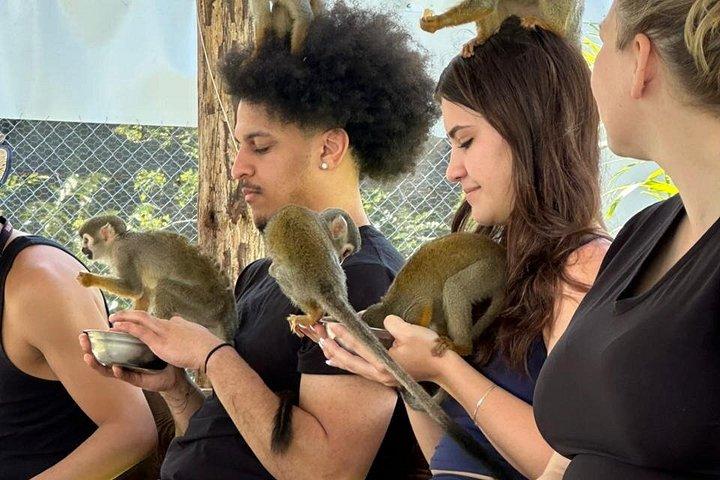Discover Puerto Plata and enjoy the Monkees