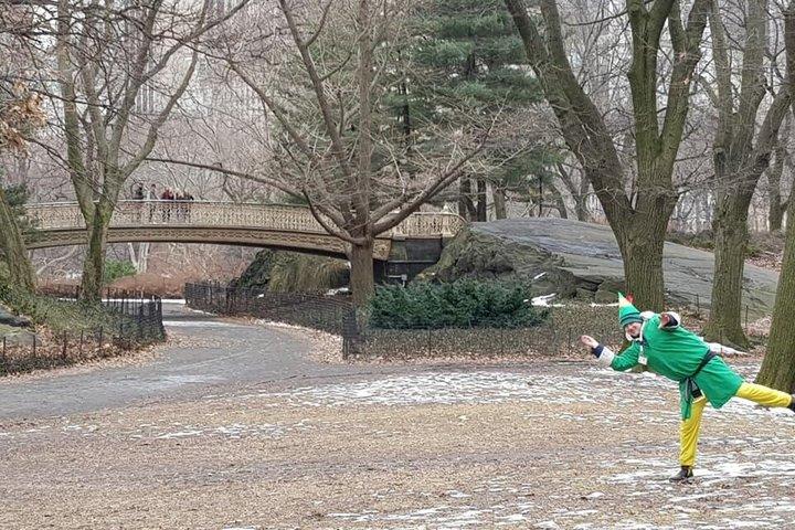 Tour dei Luoghi per Film e Programmi TV di Central Park