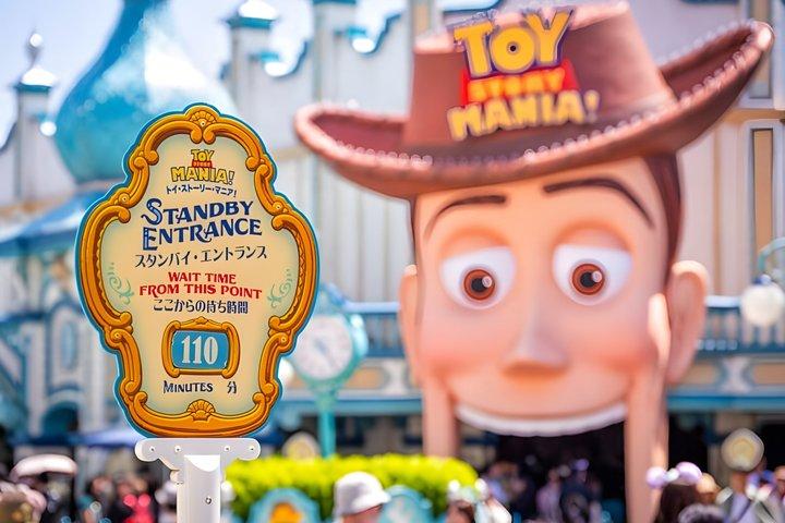 東京ディズニーシー1日パス（プライベートホテル送迎付き）