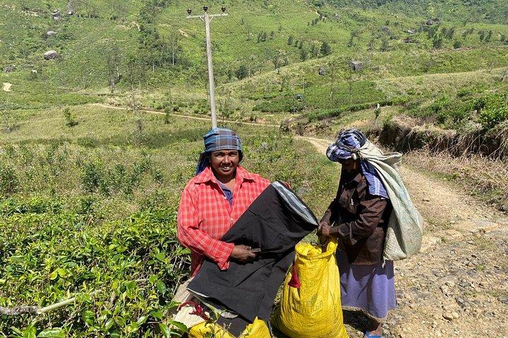 Knuckles Mountains Range 8 hours day tours from Kandy city