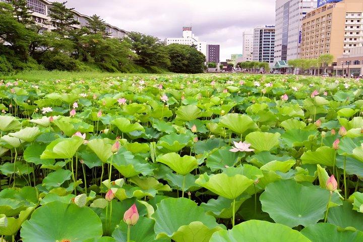Tour privato personalizzato di Akita con Guida locale