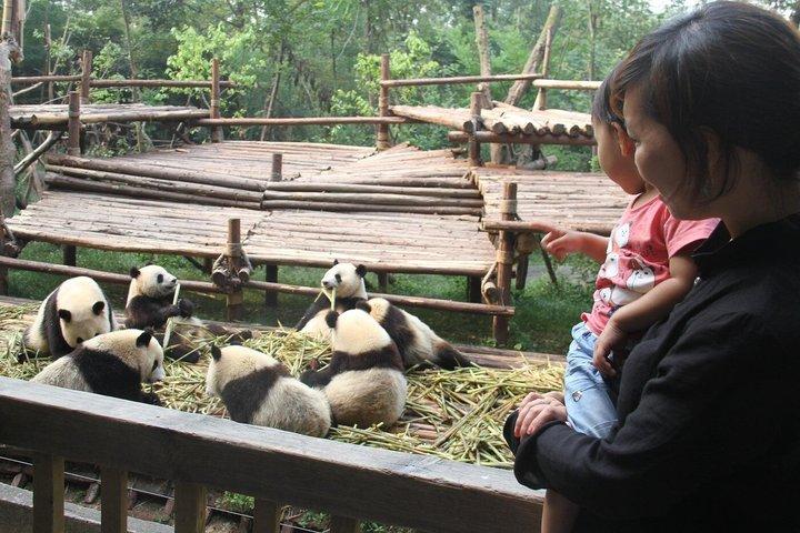 Visite privée VIP Pandas & Leshan Buddha en Bullet Train