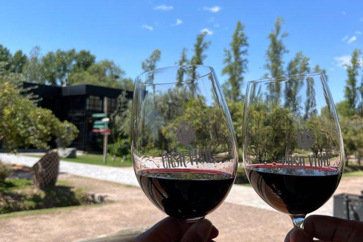 Privat flygplats-/hotelltransfer i Mendoza
