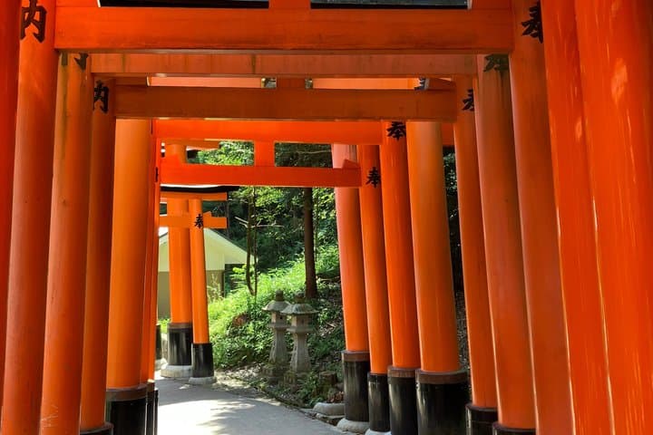 Kyoto Essential Tour with Fushimi Inari and Bamboo Grove