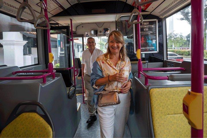 Privat brugerdefineret Singapore Walking Tour (4-8 timer, fleksibel plan)