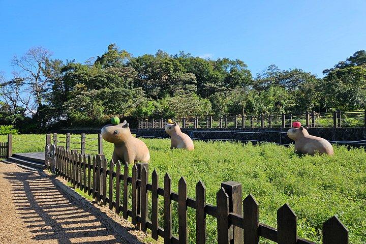 台北発坪林茶文化と猫空の日帰りツアー