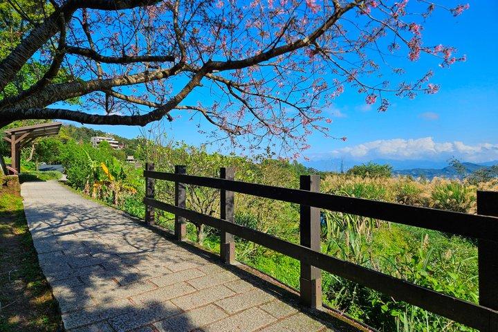 台北発坪林茶文化と猫空の日帰りツアー