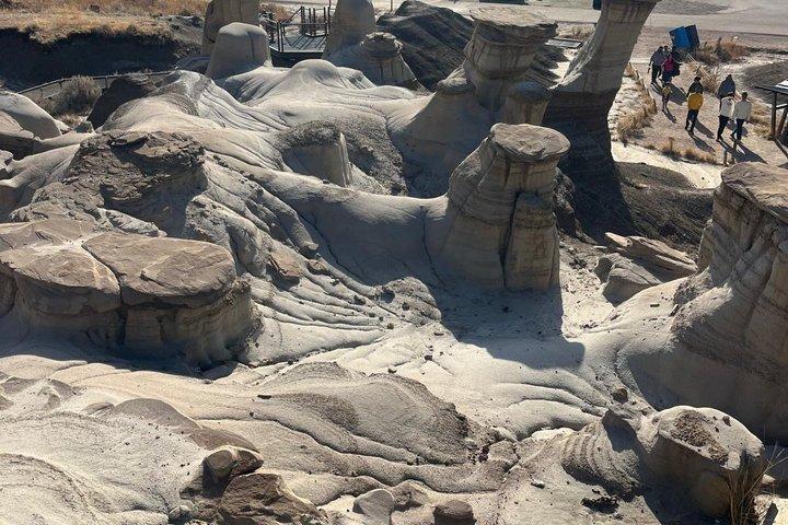 Explorez Badlands et Hoodoos Excursion d'une journée au départ de Calgary