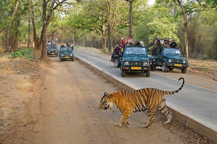 From Delhi: 4-Days Golden Triangle Tour with Ranthambore Safari