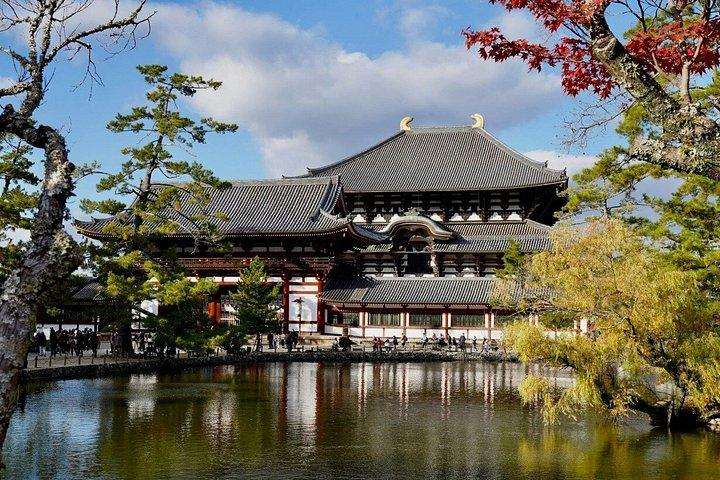 大阪から鹿公園と奈良・宇治日帰り旅行