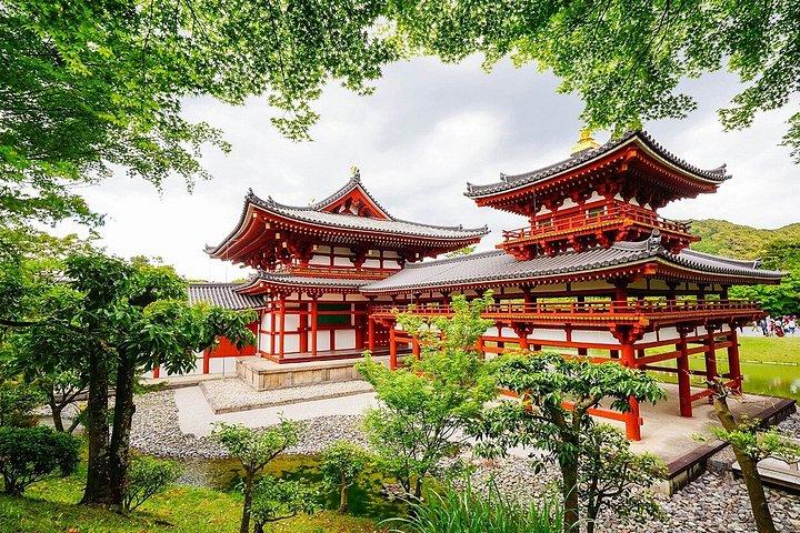 大阪から鹿公園と奈良・宇治日帰り旅行