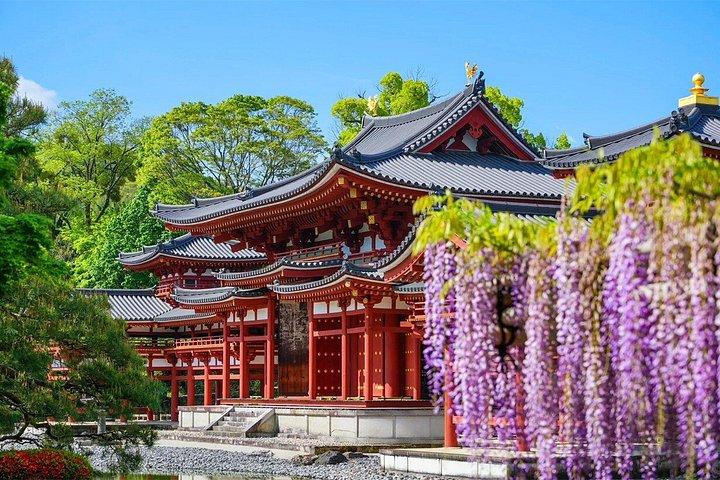 大阪から鹿公園と奈良・宇治日帰り旅行