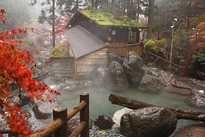 大阪から鹿公園と奈良・宇治日帰り旅行