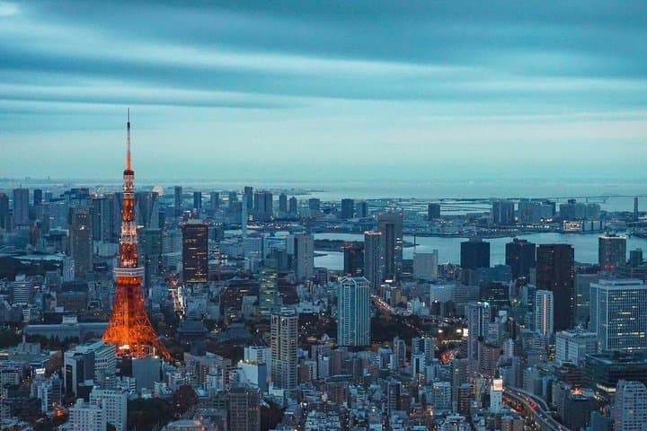 Private & Customizable Tokyo Tour (10 Hours) with English Driver