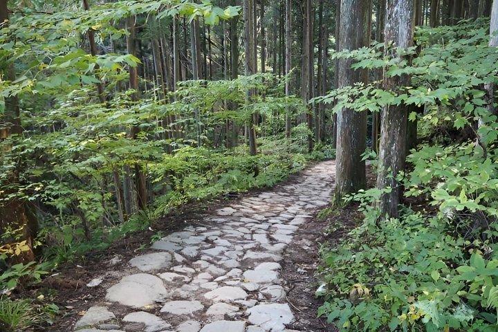 Nakasendo Trail e Post Towns Private Hike saindo de Nagoya