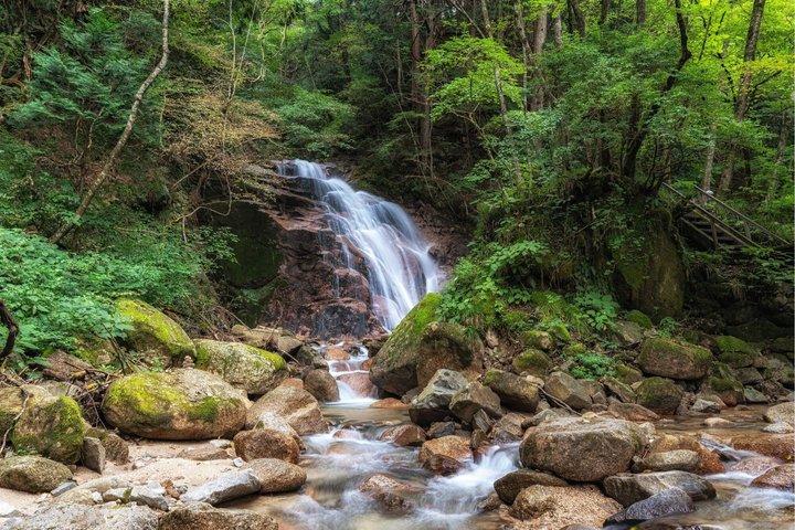 Nakasendo Trail e Post Towns Private Hike saindo de Nagoya