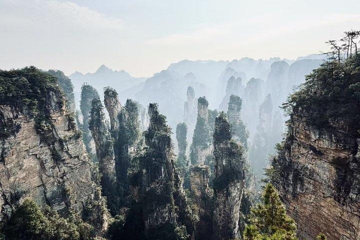 Private Tagestour Zhangjiajie National Forest ParkAvatar Mountain