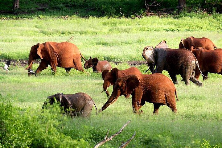 3 - サンブル国立公園ラグジュアリーフライングサファリ