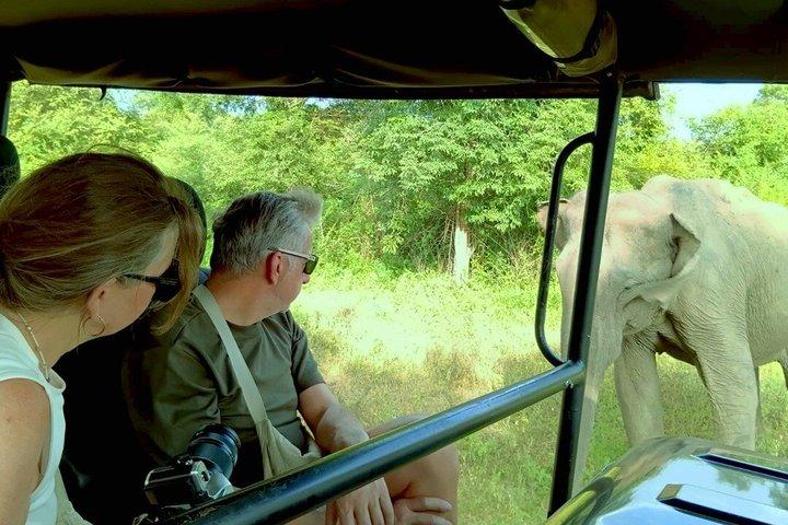 Private Tour from Ella to Hiriketiya with Udawalawe Safari