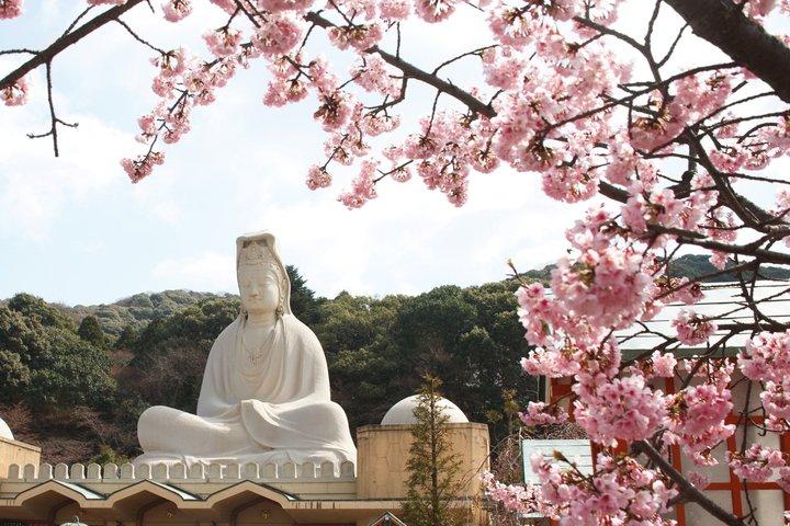 京都祇園芸者街＆隠れ家散策ツアー