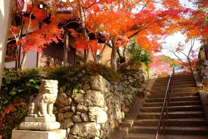 京都祇園芸者街＆隠れ家散策ツアー
