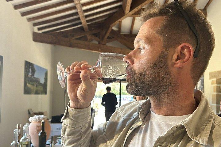 Bandol & Cassis Wine Tour From Aix en Provence