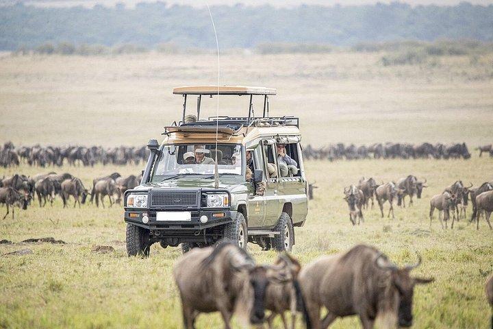 マーラ、ナクル、アンボセリへの6日間グループサファリ4×4ジープ。
