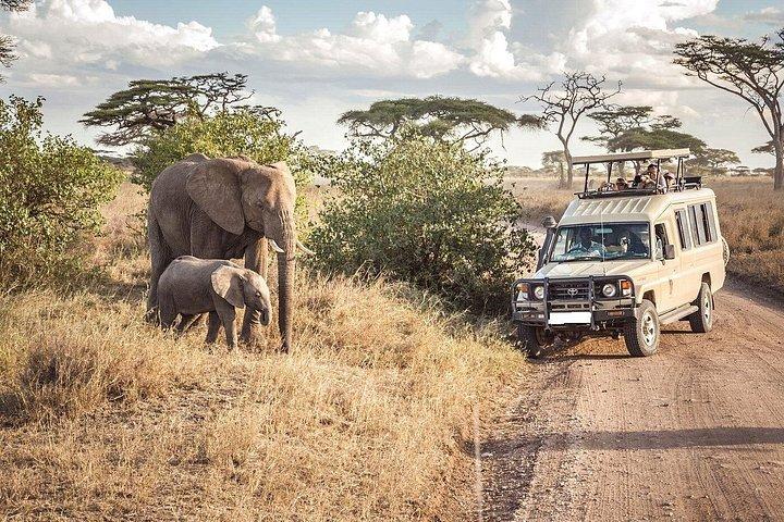 マーラ、ナクル、アンボセリへの6日間グループサファリ4×4ジープ。