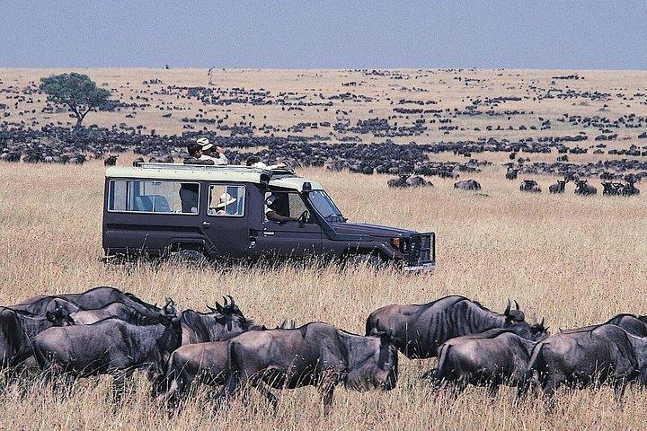 マーラ、ナクル、アンボセリへの6日間グループサファリ4×4ジープ。