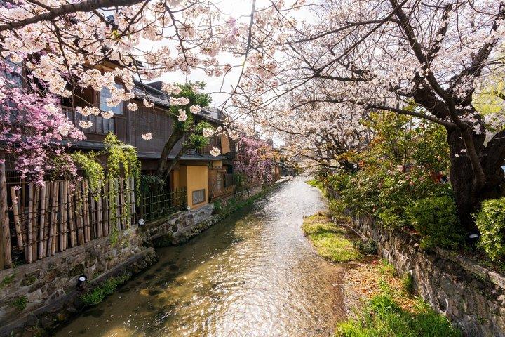 京都祇園芸者街＆隠れ家散策ツアー