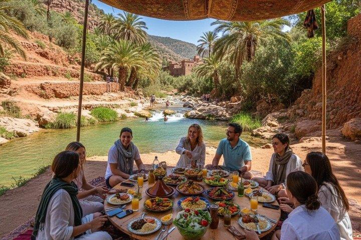 Paradise Valley Atlas Mountain & Tree-Climbing Goats com almoço