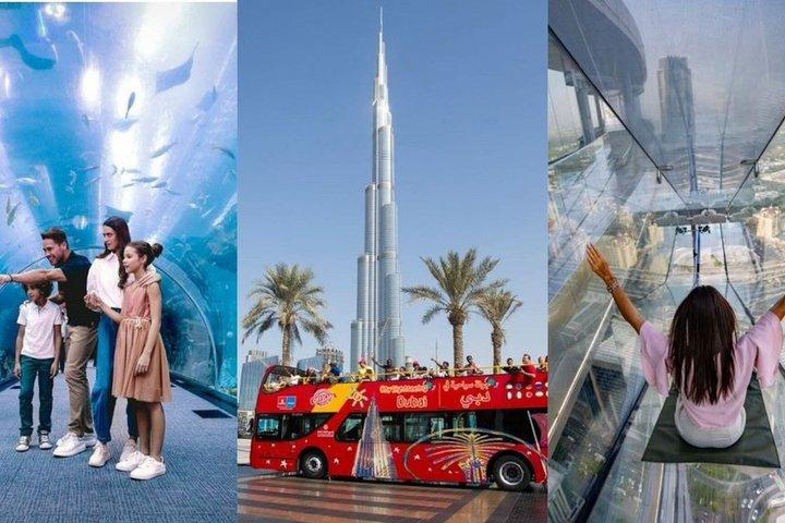 Visite de Dubaï en bus, aquarium et plus encore