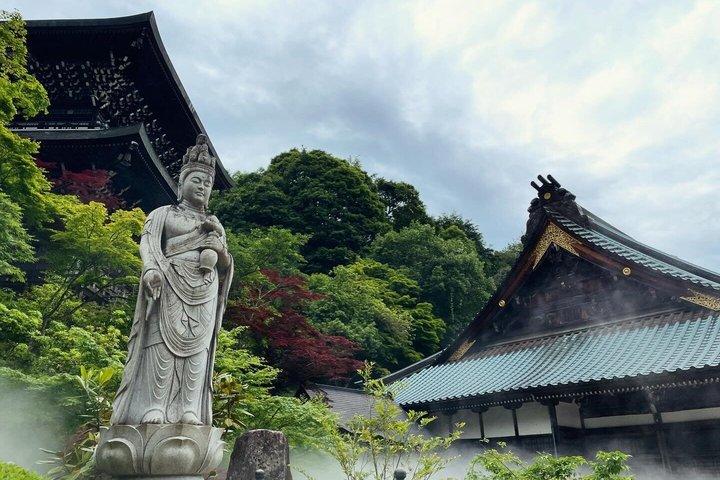 プライベート宮島：厳島神社、島の自然＆ローカルガイド