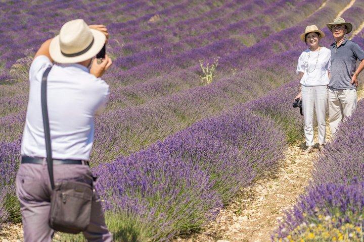 Provence Lavendel Fields Tour fra Aix-en-Provence