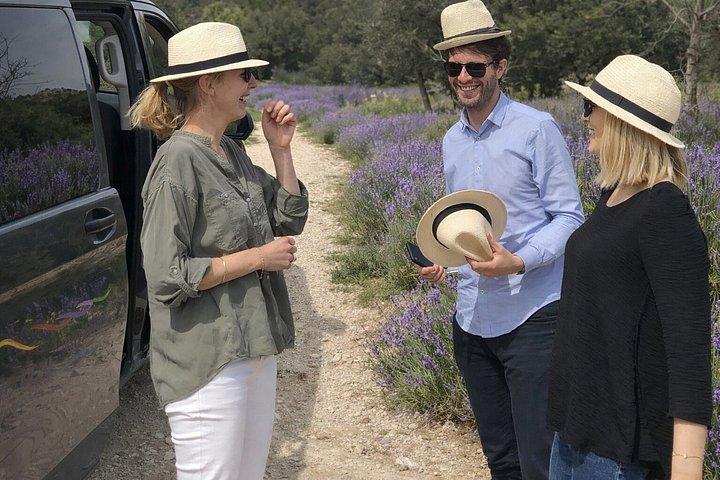 Provence Lavender Fields Tour from Aix-en-Provence