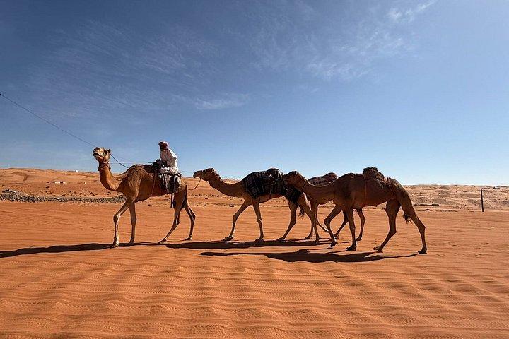 黄金の砂漠の夕日を眺めながらのスイムハイキング