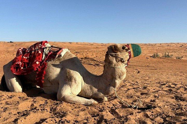 黄金の砂漠の夕日を眺めながらのスイムハイキング