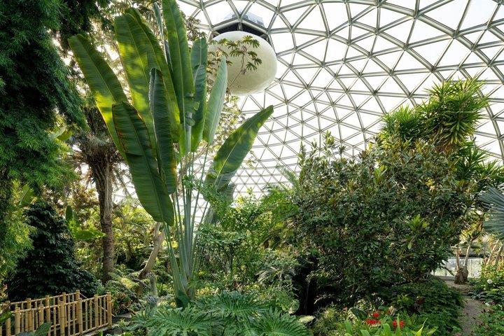 Bloedel Conservatory Entrébiljett